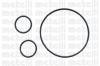 METELLI 24-0503 (240503) Water Pump