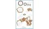 AJUSA 54133300 Gasket Set, crank case