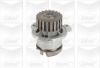 GRAF PA704 Water Pump