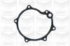 GRAF PA234 Water Pump