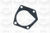 GRAF PA619 Water Pump