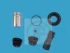 AUTOFREN SEINSA D41083C Repair Kit, brake caliper