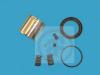 AUTOFREN SEINSA D41175C Repair Kit, brake caliper