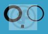 AUTOFREN SEINSA D4164 Repair Kit, brake caliper