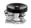 MAGNETI MARELLI 352316171017 Water Pump
