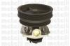 METELLI 24-0620 (240620) Water Pump