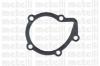 METELLI 24-0256 (240256) Water Pump