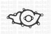 METELLI 24-0891 (240891) Water Pump