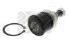 MAPCO 49510 Ball Joint