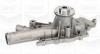 GRAF PA1006 Water Pump
