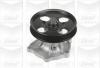 GRAF PA718 Water Pump