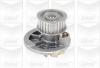 GRAF PA572A Water Pump