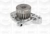 GRAF PA876 Water Pump