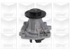 GRAF PA802 Water Pump