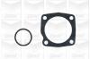 GRAF PA365 Water Pump