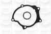 GRAF PA789 Water Pump
