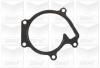 GRAF PA826 Water Pump