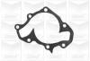 GRAF PA935 Water Pump