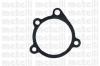 METELLI 24-0117 (240117) Water Pump