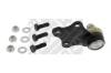 MAPCO 19371 Ball Joint
