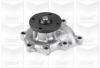 GRAF PA816 Water Pump