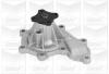 GRAF PA823 Water Pump