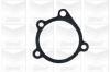 GRAF PA117 Water Pump