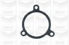 GRAF PA270 Water Pump