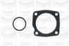 GRAF PA340 Water Pump