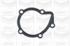 GRAF PA391 Water Pump