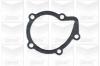 GRAF PA393 Water Pump
