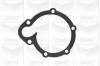 GRAF PA494 Water Pump