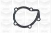 GRAF PA642 Water Pump
