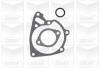GRAF PA700 Water Pump
