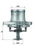 BEHR TI4880D Thermostat, coolant