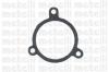 METELLI 24-0243 (240243) Water Pump