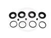 AUTOFREN SEINSA D4636 Repair Kit, brake caliper