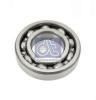 DT 2.44831 (244831) Shaft Seal, injector pump