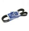DT 4.80939 (480939) V-Ribbed Belts