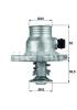 BEHR TM11105 Thermostat, coolant