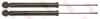 TRW JGT1202T Shock Absorber