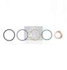 DT 1.31294 (131294) Repair Kit, injection nozzle