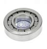 DT 2.35026 (235026) Bearing, differential shaft