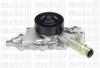METELLI 24-0908 (240908) Water Pump