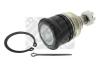 MAPCO 19507 Ball Joint
