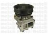 METELLI 24-0686 (240686) Water Pump