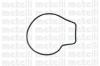 METELLI 24-0428 (240428) Water Pump