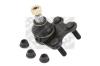 MAPCO 52743 Ball Joint