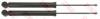 TRW JGT1094T Shock Absorber