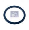 DT 2.32987 (232987) Seal Ring